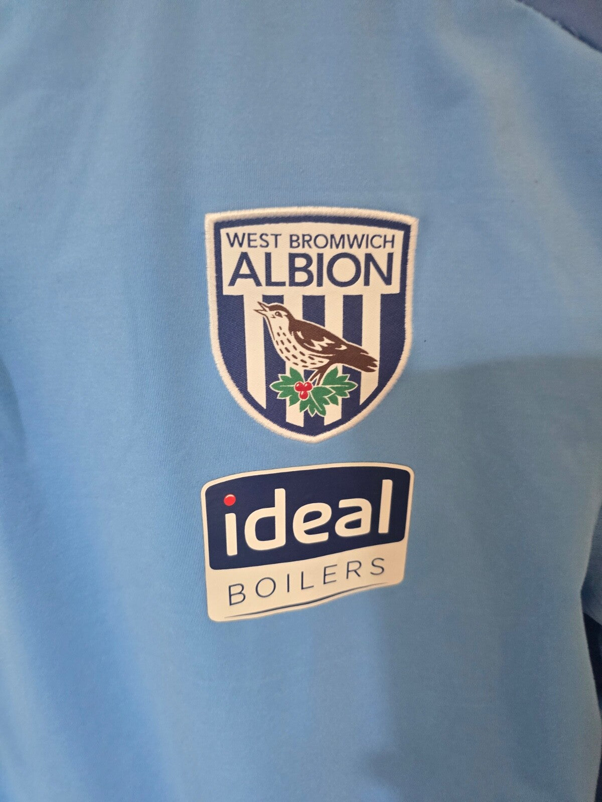 West Bromwich Albion 2020/21 Adidas Player worn Callum Robinson training shirt