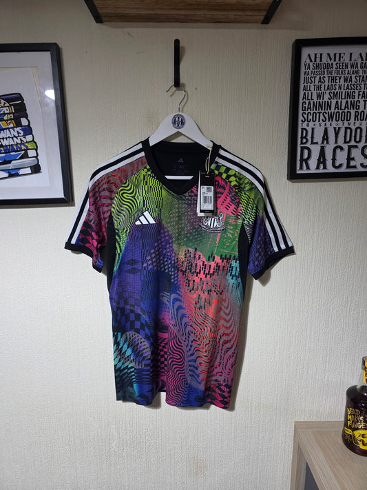 Newcastle United 2025 Adidas Pride Shirt BNWT - Small